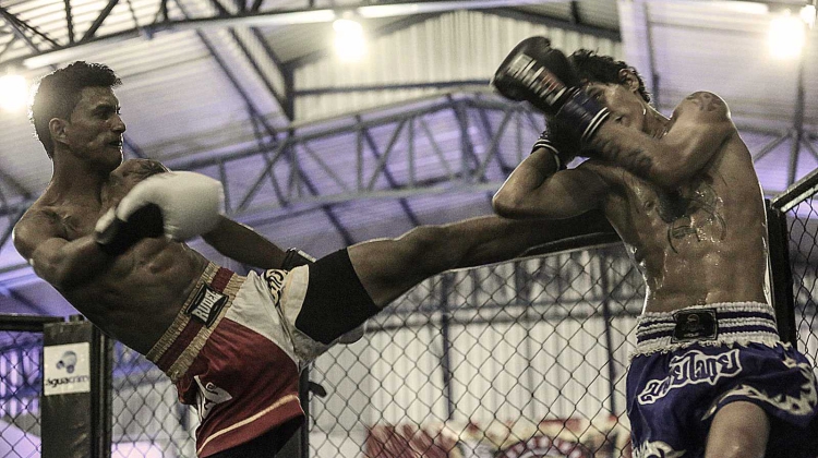 Foto: Divulgação