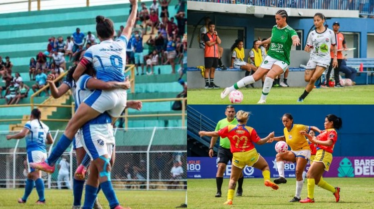 Fotos: Divulgação FAF
