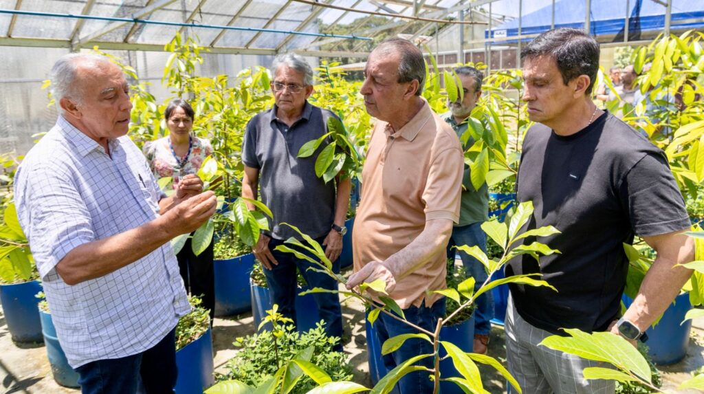 Foto: Pablo Brandão