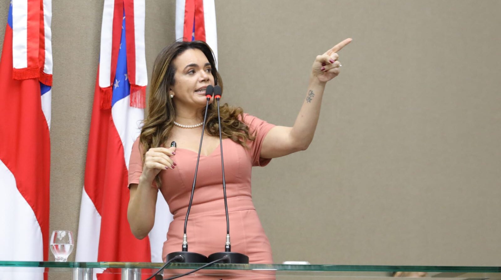 Foto: Miguel Almeida e Danilo Mello/ALEAM